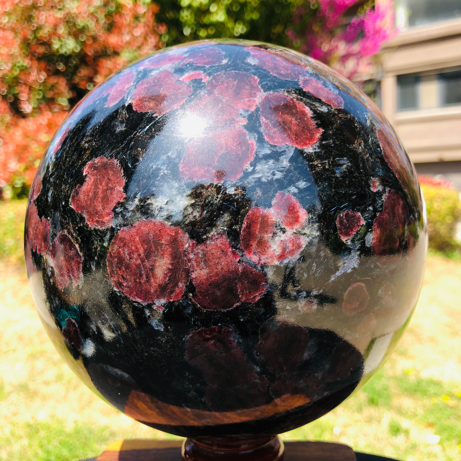 13.59LB Natural Astrophyllite Quartz Crystal"Fireworks Stone"The Ball Heals 1057