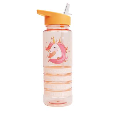 Kids Water Drinks Bottle 4x Silicone Wristbands Straw Yoga School BPA Free 650ml