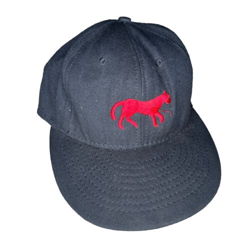 VTG 80s Detroit Tigers 1901 Logo American Needle Fitted Cap