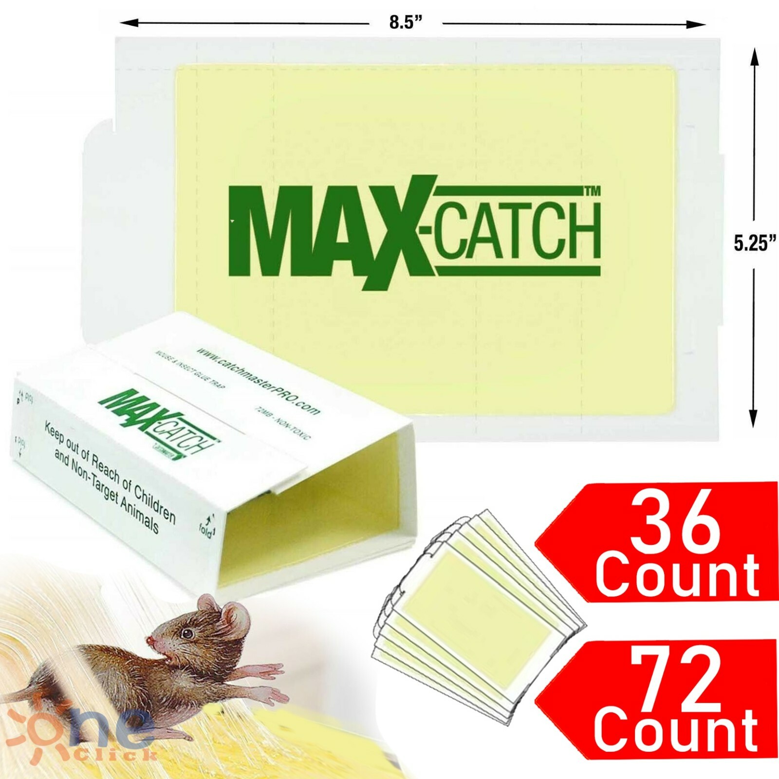 Catch Spiders Snakes Insects Rats Pest Sticky Boards Trap 36/ 72