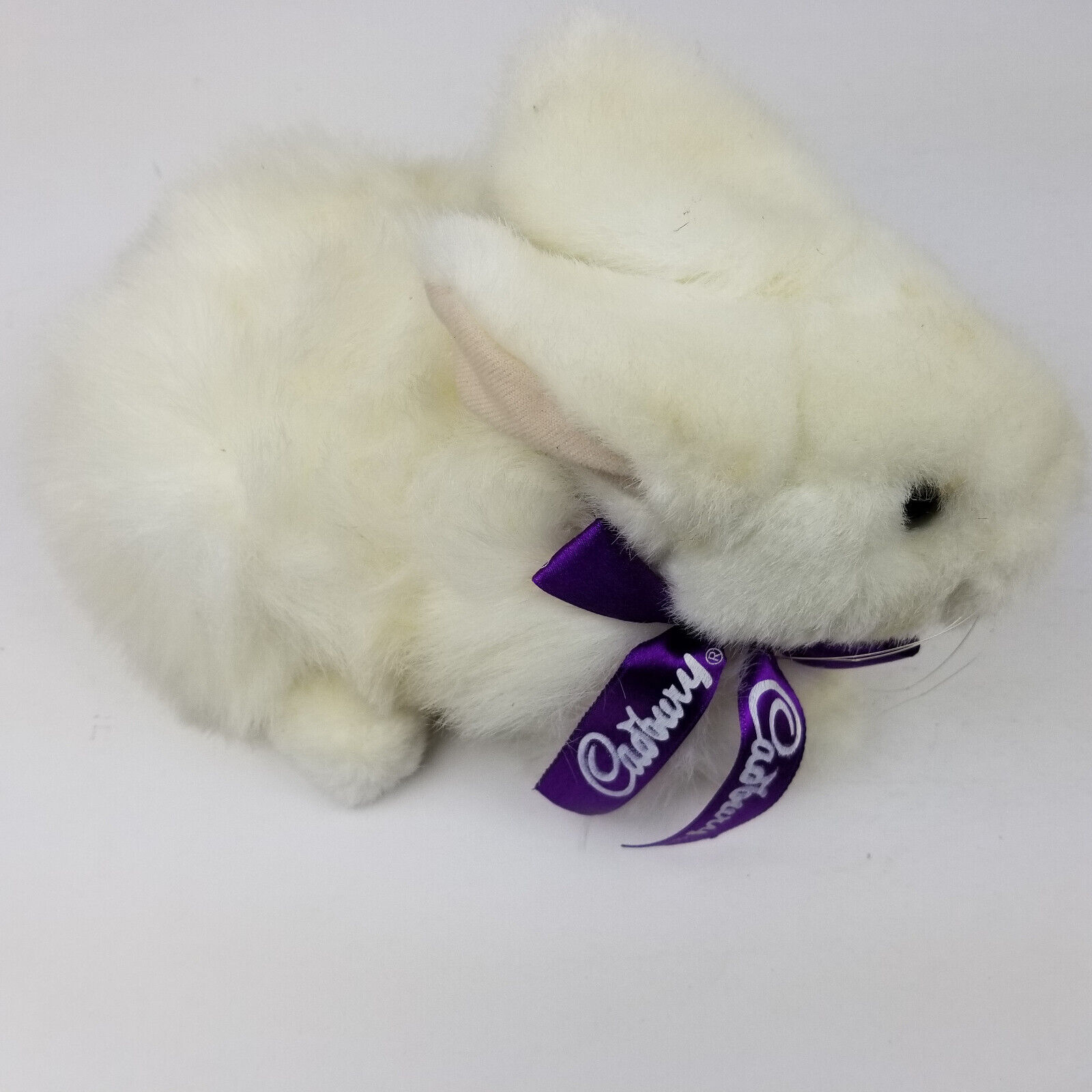 Rabbit 11