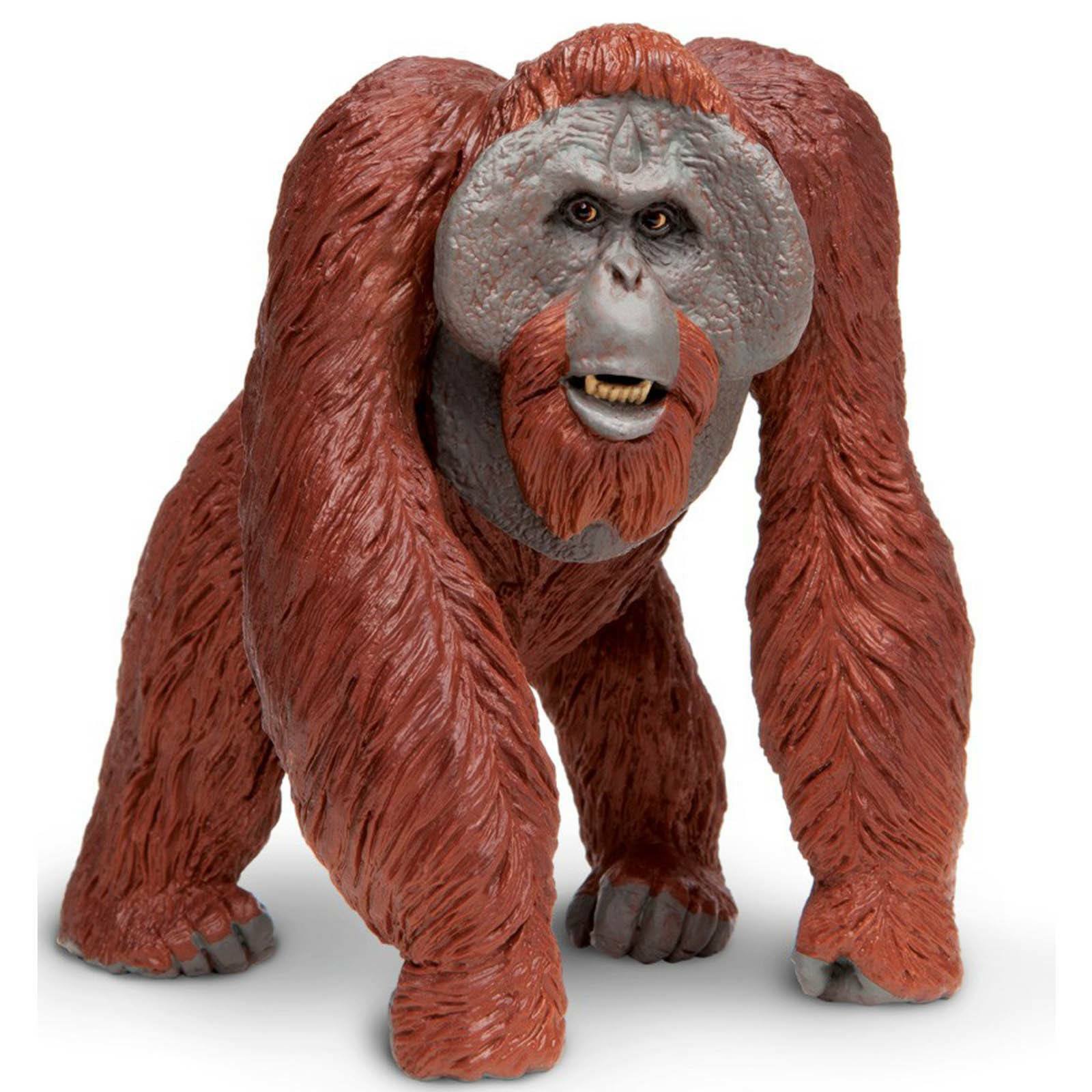 Фигурка Борнейского орангутанга Wonderlife Wonders Figure Safari Ltd НОВАЯ В НАЛИЧИИ НА СКЛАДЕ