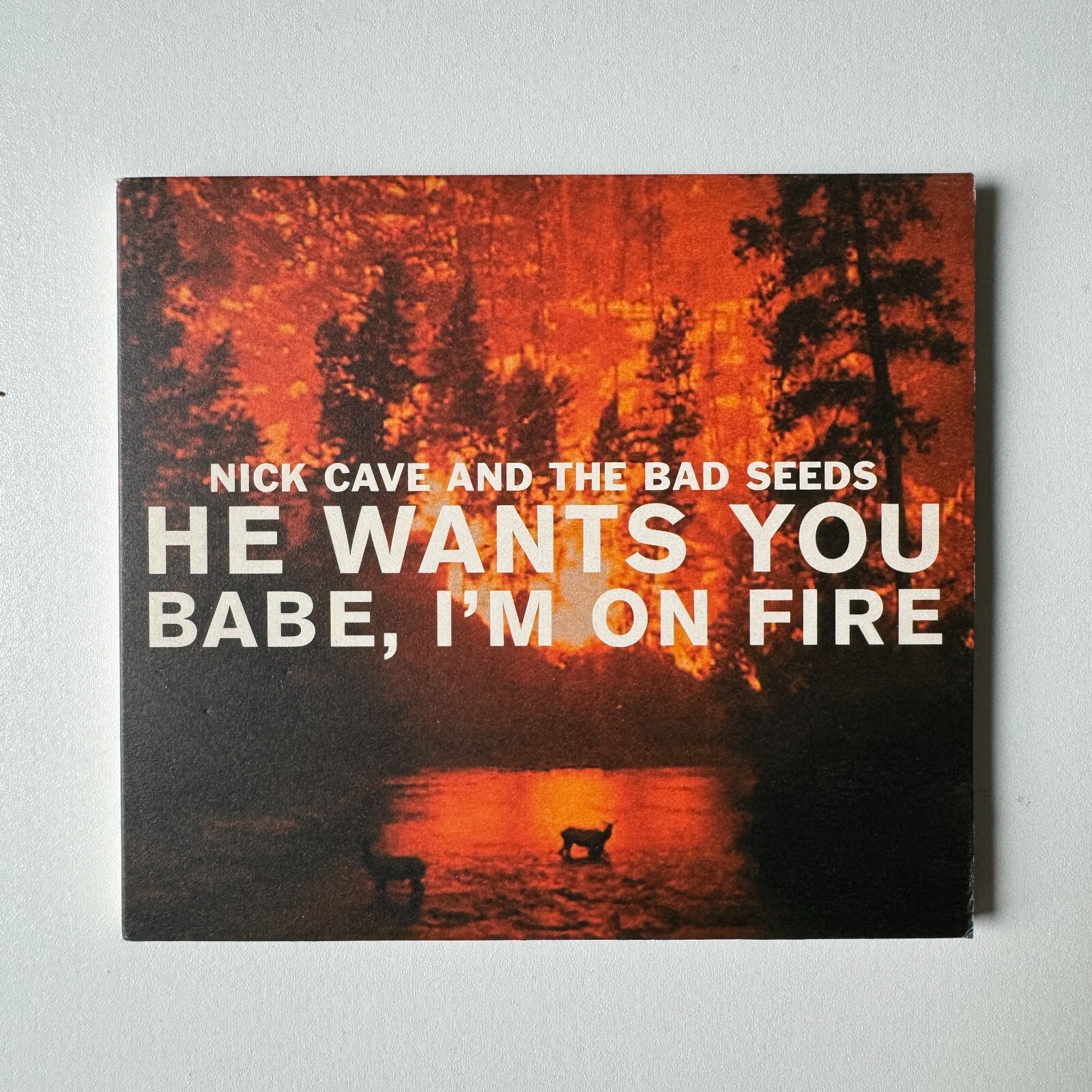 He Wants You/Babe I'm on Fire (CD Single) by Nick Cave and He Wants You/Babe I'm on Fire (CD Single) by Nick Cave and