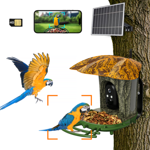 4MP WiFi / 4G Solar Camera Wireless Outdoor 2K Solar Bird Feeder Camera System