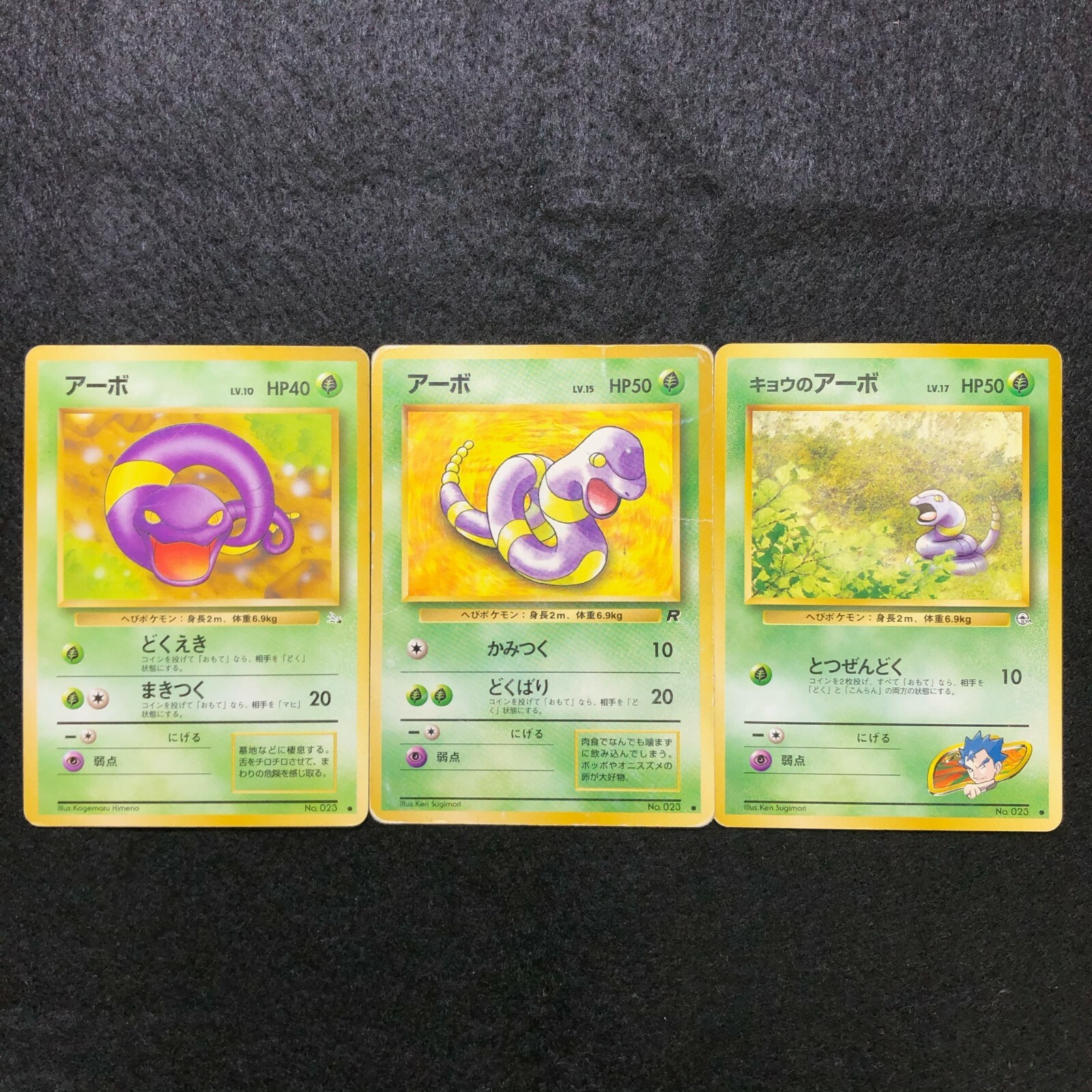 Dark Arbok 1997 Japanese Rocket Gang #24 Holo Price Guide