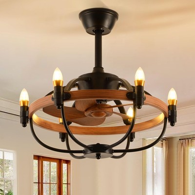 Caged Ceiling Fan with Light and Remote Farmhouse Ceiling Fans Black Bladeles...