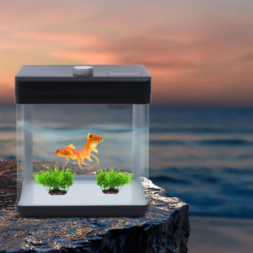 2.5Gal/9.5L Fish Tank Aquarium Kit Living Room Fish Tank Good Filtering System