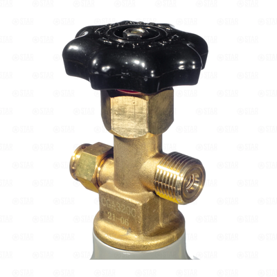 2.5 Gallon DIY Home Sparkling Carbonated Water Making CO2 Keg Dispensing Kit