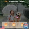 Geyrut Light Up Dog Collar, USB-C Rechargeable and Waterproof Dog Glow Collar for Night Walking, Adjustable Soft Nylon Mesh Led Dog Collar 6 Lighting Colors (M, Adjustable 12.6in-19.6in)