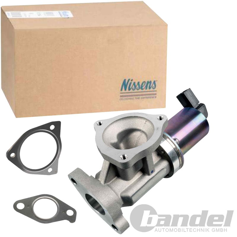 Nissens Ventil Arg Avec Joints Compatible Avec Hyundai Santa FÃ Ii Kia Cee'D Sw