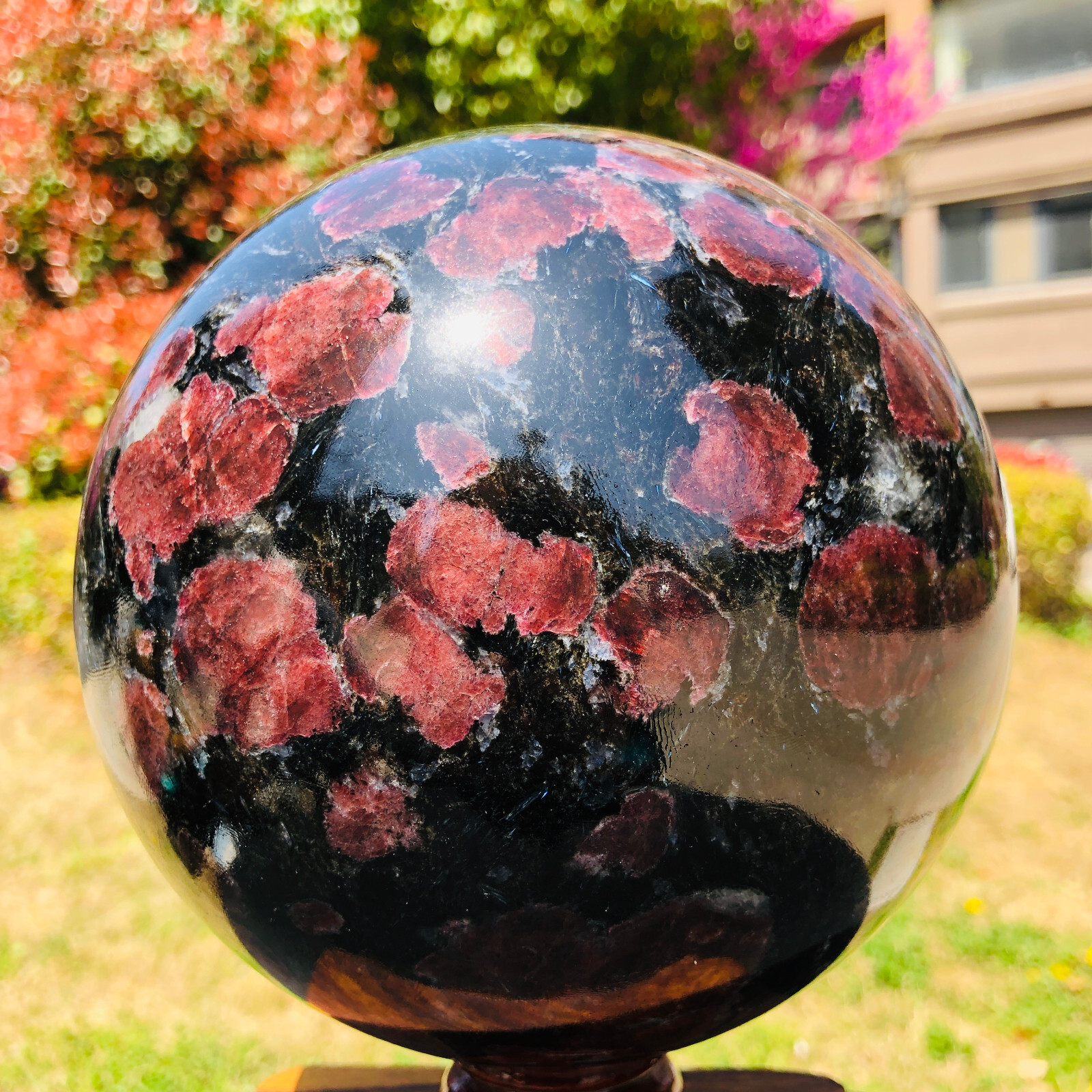 13.59LB Natural Astrophyllite Quartz Crystal"Fireworks Stone"The Ball Heals 1057