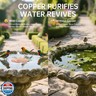 Ulycon Bird Bath Copper Disk, Premium 0.6mm Sturdy 99.99% Pure Copper Disk for Bird Baths,Triple-Point Support Ensures Clean Water Year-Round, Compatible with All Outdoor Birdbath Bowls