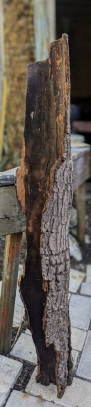 Pine Bark-Untreated
