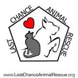 Last Chance Animal Rescue, Inc.