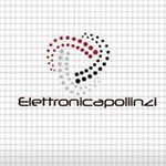 elettronicapollinzi