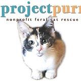 Project Purr's Rescued Treasures