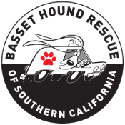 Basset Hound Rescue of Southern California
