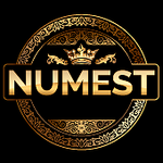 numest 的用户个人档案