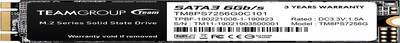 MS30 256GB with SLC Cache 3D NAND TLC M.2 2280 SATA III 6Gb/S Internal Solid Sta