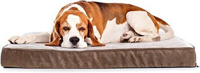 Cama ortopédica acolchada huevos espuma almohada felpa fund