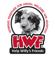 Help Willy's Friends