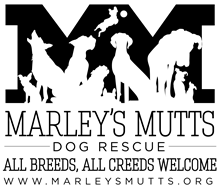 Marley's Mutts Dog Rescue