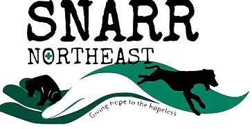 SNARR Northeast Rescue