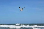 justlifesurfing