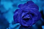 simonabeauty