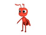 antsabout