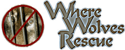 Where Wolves Rescue