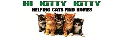 Hi Kitty Kitty