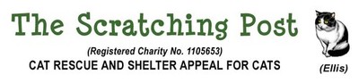 THE SCRATCHING POST (RESCUE AND SHELTER APPEAL FOR CATS)