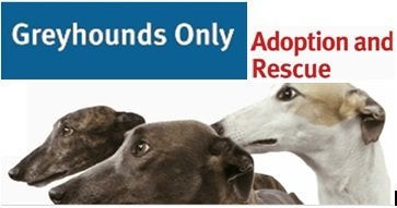 Greyhounds Only Inc