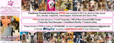 Pawlicious Poochie Pet Rescue