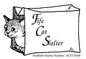 Fife Cat Shelter