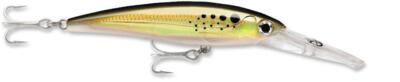 Rapala X-Rap Magnum 40 Big Game 7 inch Slash Bait