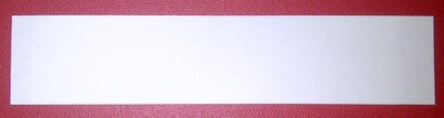 WALKER 3M 1522 Double Sided Clear Straight Tape 1''x3'' 36pcs Wig Toupee Hairpiece