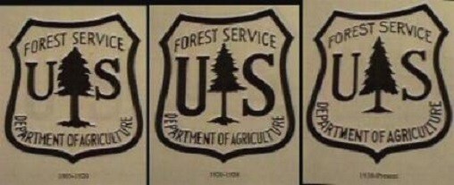 Old Forest Service Identification TREE Sign CAT FACE