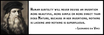 Wall Quote - LEONARDO DA VINCI - Human Subtelty Will Never Devise An Invention