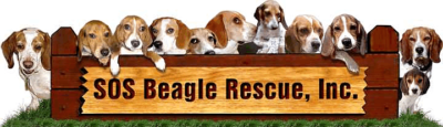 SOS Beagle Rescue Inc.