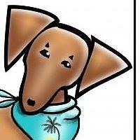 Dachshund Rescue South Florida