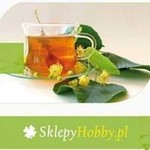 www_sklepyhobby_pl