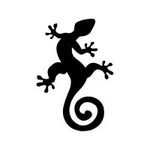 lezard_roi