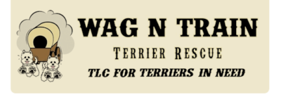Wag N Train Terrier Rescue