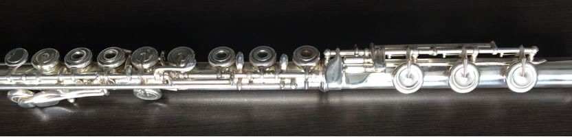 Classic flute | Beginner/ Intermediate | Open holes | Low-B Foot joint