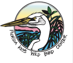 Florida Keys Wild Bird Center