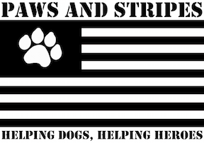 Paws and Stripes