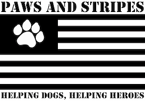 Paws and Stripes