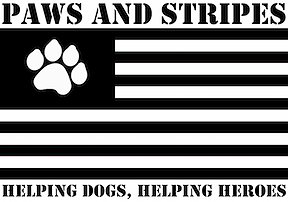 Paws and Stripes